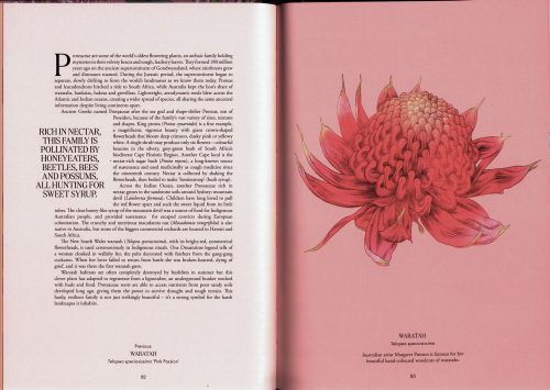 Petal: The World of Flowers Through an Artist's Eye - Image 2