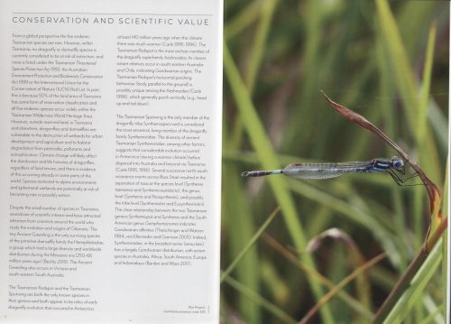 Dragonflies and Damselflies of Tasmania - Image 3