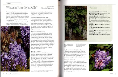 Planting for Pollinators: Creating a Garden Haven - Image 2