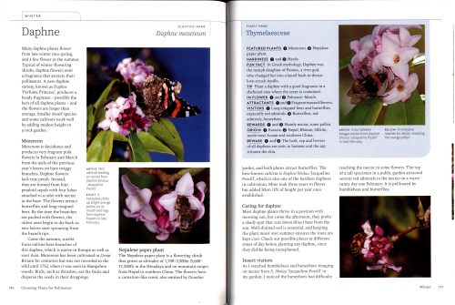 Planting for Pollinators: Creating a Garden Haven - Image 3