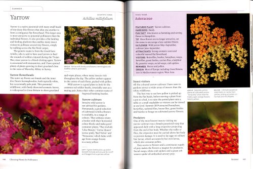 Planting for Pollinators: Creating a Garden Haven - Image 4