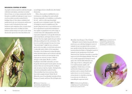 Beetles of the World:  A Natural History - Image 4