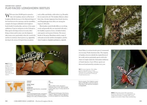 Beetles of the World:  A Natural History - Image 2
