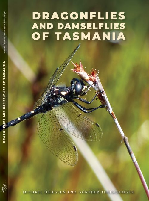 Dragonflies and Damselflies of Tasmania