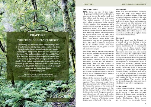 South Coast Ferns:  A Complete Guide to the Ferns and Fern Allies of the NSW South Coast - Image 6