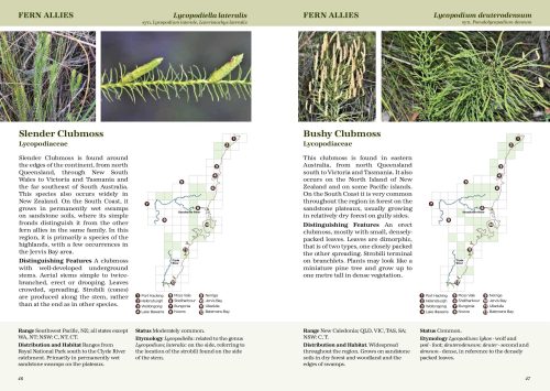 South Coast Ferns:  A Complete Guide to the Ferns and Fern Allies of the NSW South Coast - Image 3