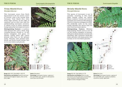 South Coast Ferns:  A Complete Guide to the Ferns and Fern Allies of the NSW South Coast - Image 2