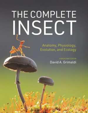 The Complete Insect:  Anatomy, Physiology, Evolution, and Ecology