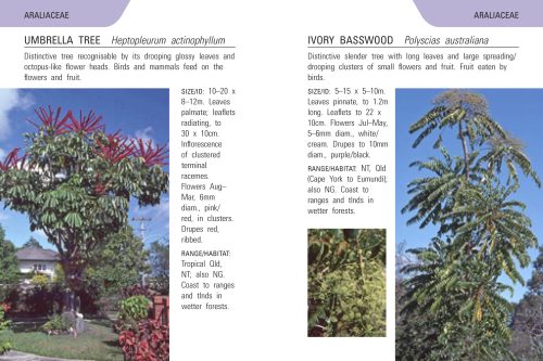 Reed Concise Guide: Trees of Australia - Image 2