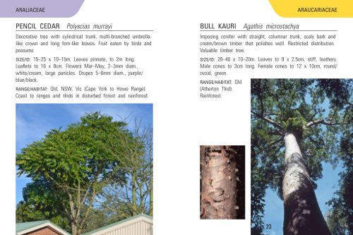 Reed Concise Guide: Trees of Australia - Image 3