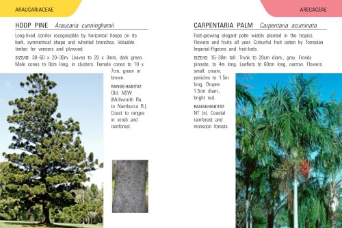 Reed Concise Guide: Trees of Australia - Image 4