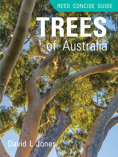 Reed Concise Guide: Trees of Australia