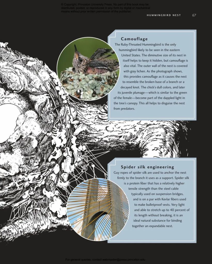 Avian Architecture: How Birds Design, Engineer, and Build (Second ...