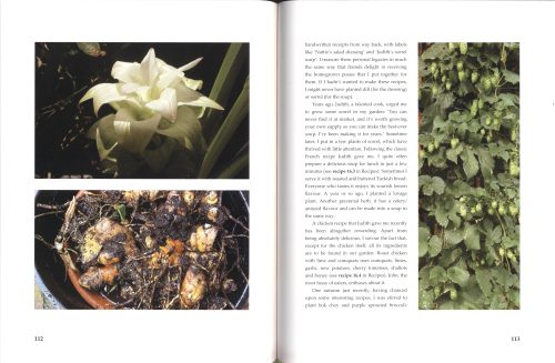 In My Own Backyard: The Bountiful Harvest of an Inner-City Garden - Image 4