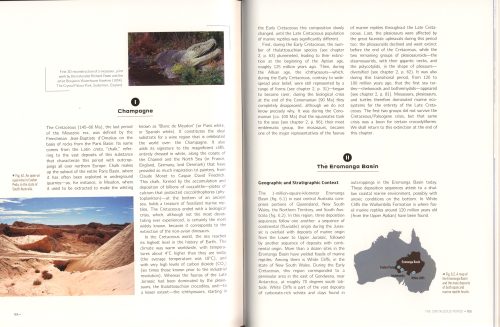 Ocean Life in the Time of Dinosaurs - Image 3