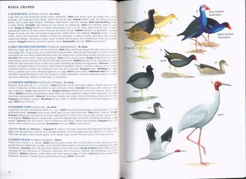 A Field Guide to the Birds of Malaysia: Including Sabah and Sarawak - Image 2