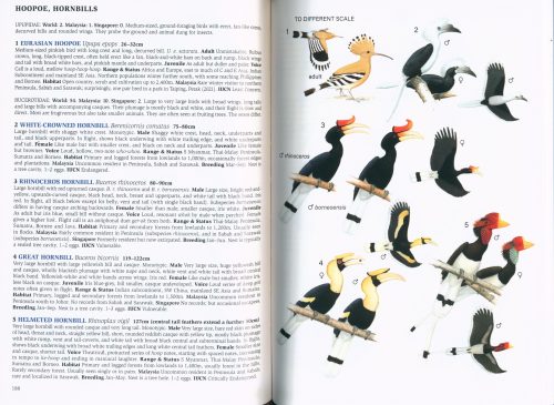 A Field Guide to the Birds of Malaysia: Including Sabah and Sarawak - Image 3