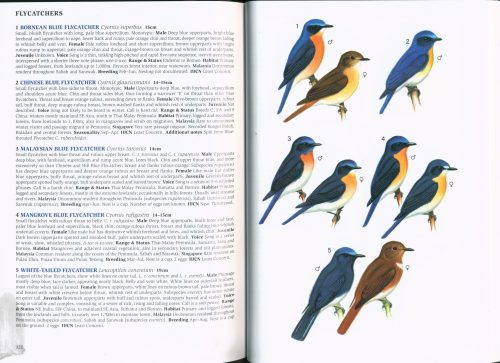 A Field Guide to the Birds of Malaysia: Including Sabah and Sarawak - Image 4