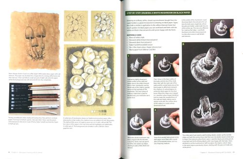 Drawing and Painting Fungi: An Artists Guide to Finding and Illustrating Mushrooms and Lichens - Image 3
