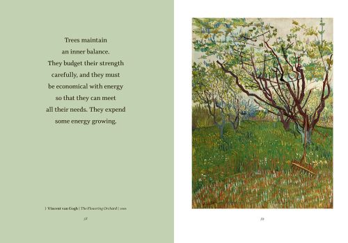 Wisdom from the Hidden Life of Trees - Image 5