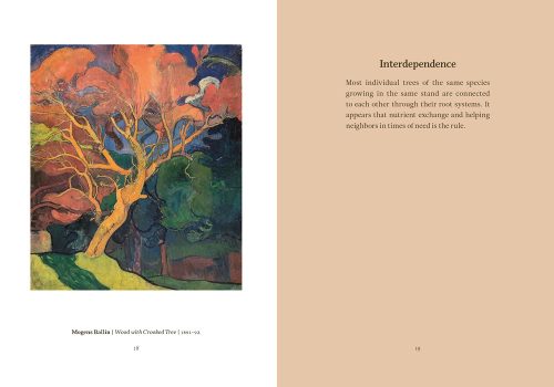 Wisdom from the Hidden Life of Trees - Image 3