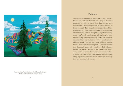 Wisdom from the Hidden Life of Trees - Image 2