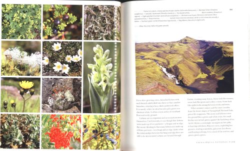Our Natural World Heritage: 50 of the Most Beautiful and Biodiverse Places - Image 3