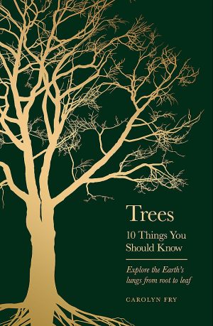 Trees: 10 Things You Should Know: Explore the Earth's Lungs from Root to Leaf