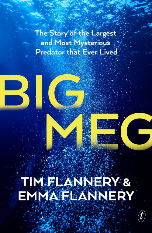 Big Meg: The Story of the Largest and Most Mysterious Predator that Ever Lived