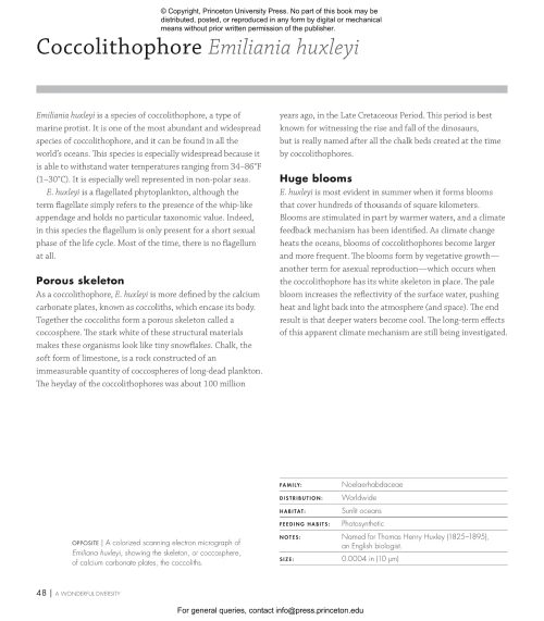 Plankton: A Worldwide Guide - Image 5