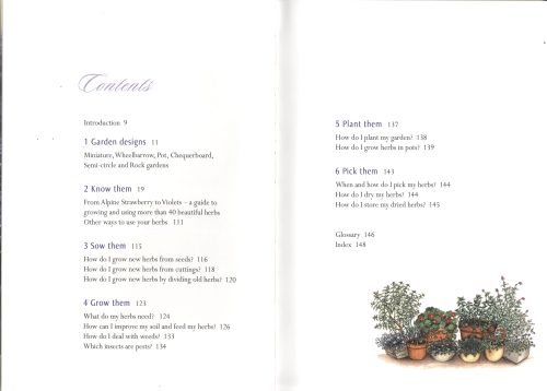 Growing Easy Herbs for Beauty, Fragrance and Flavour - Image 2