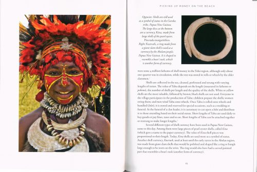 Shells: A Natural and Cultural History - Image 2