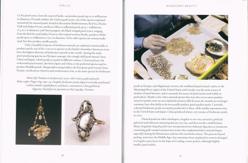 Shells: A Natural and Cultural History - Image 3