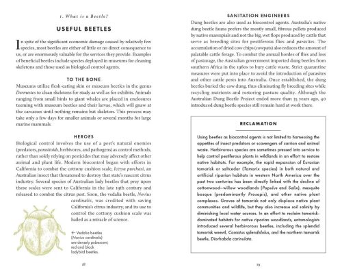 The Little Book of Beetles - Image 4