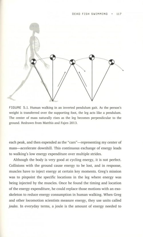 How to Walk on Water and Climb up Walls: Animal Movement and the Robots of the Future - Image 5