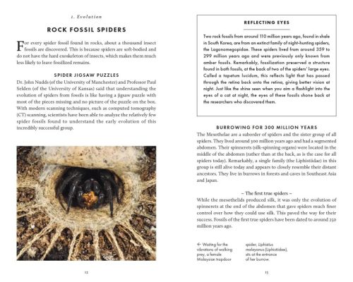 The Little Book of Spiders - Image 4