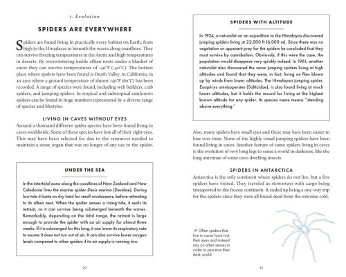The Little Book of Spiders - Image 3