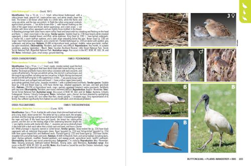 The Guide to Victorian Wildlife - Image 3