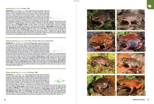 The Guide to Victorian Wildlife - Image 4