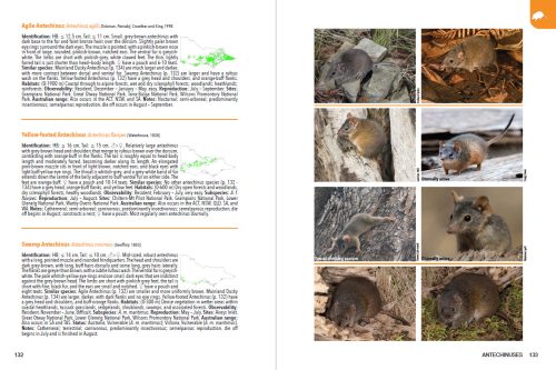 The Guide to Victorian Wildlife - Image 5