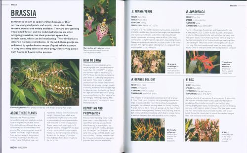 Orchids: Essential Know-how and Expert Advice for Gardening Success (DK Grow) - Image 5