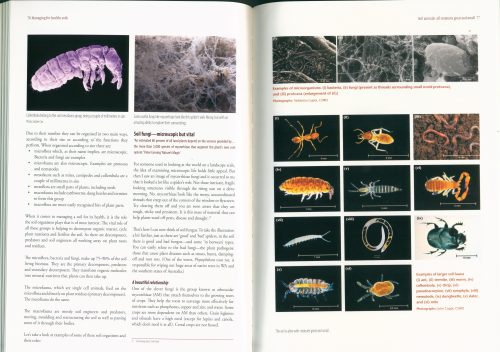 Managing for Healthy Soils (Second Edition) - Image 4