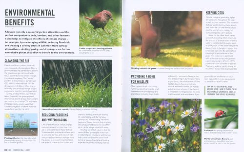 Lawns: Essential Know-how and Expert Advice for Gardening Success (DK Grow) - Image 2