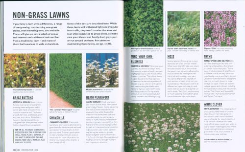 Lawns: Essential Know-how and Expert Advice for Gardening Success (DK Grow) - Image 4