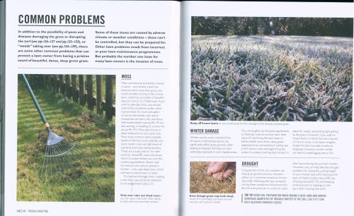 Lawns: Essential Know-how and Expert Advice for Gardening Success (DK Grow) - Image 5
