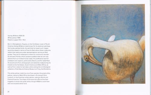 Birds in Art - Image 2
