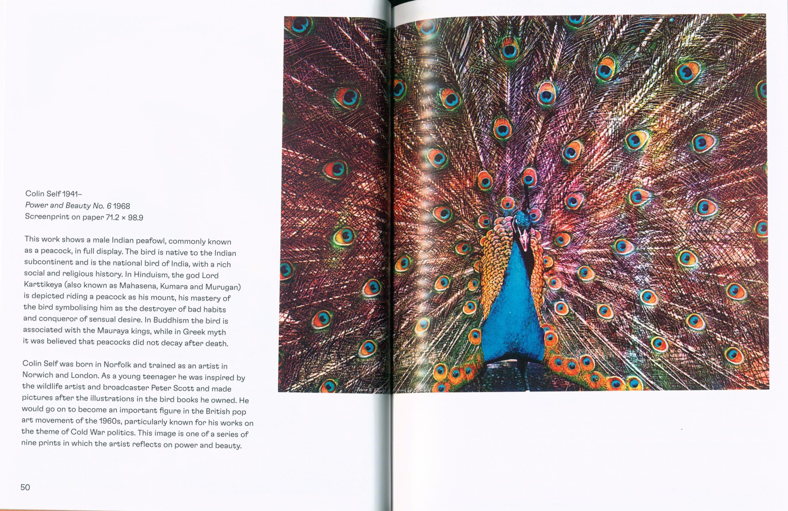 Birds in Art - Image 5