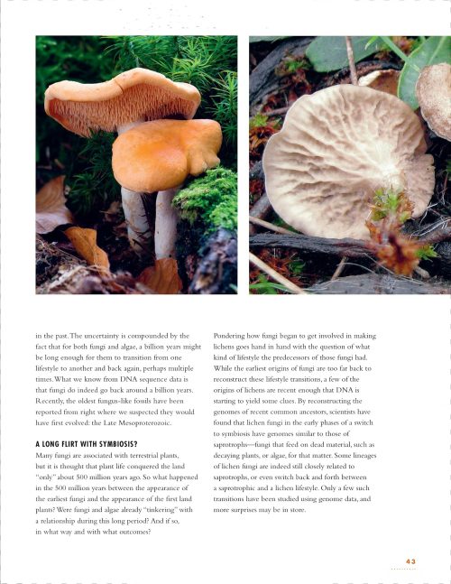 The Lives of Lichens: A Natural History - Image 2