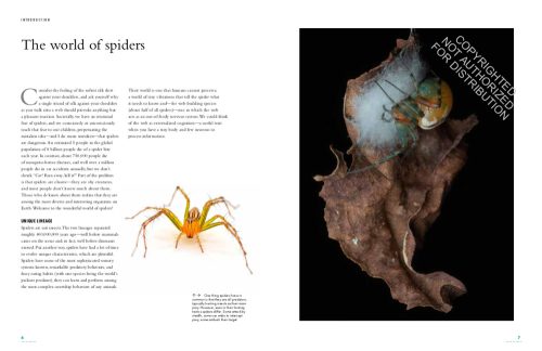 The Lives of Spiders: A Natural History of the World's Spiders - Image 5