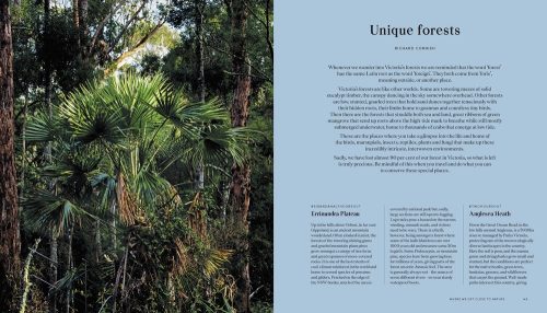 Undiscovered Victoria: A Locals' Guide to Finding Adventure - Image 8